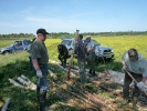 Rok 2011