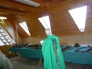 Rok 2011