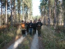 Rok 2011