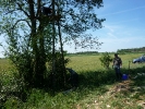 Rok 2011