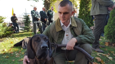 Rok 2015